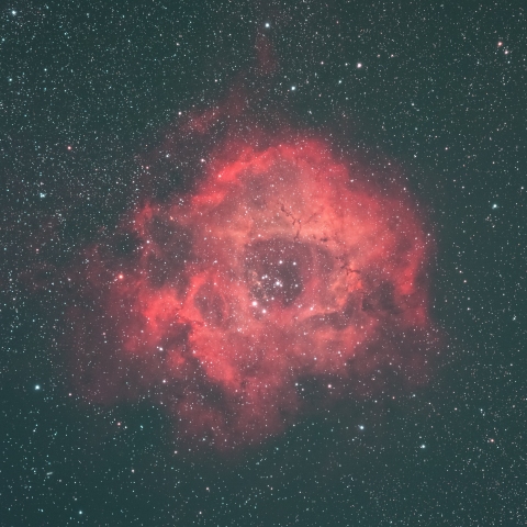 Rosette Nebula with QuadBP filter