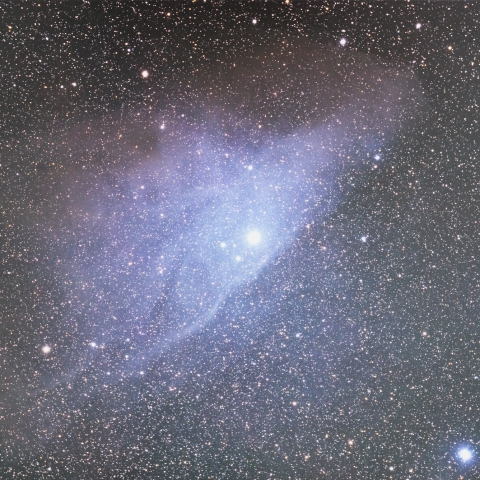 IC4592