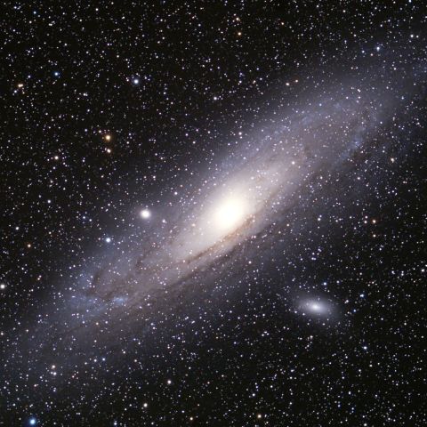 M31