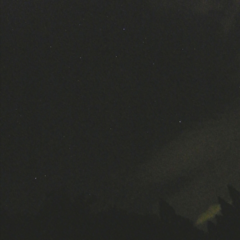 おりひめ・ひこぼしとかささぎ