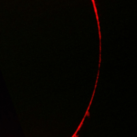 ベイリービーズ　第二接触