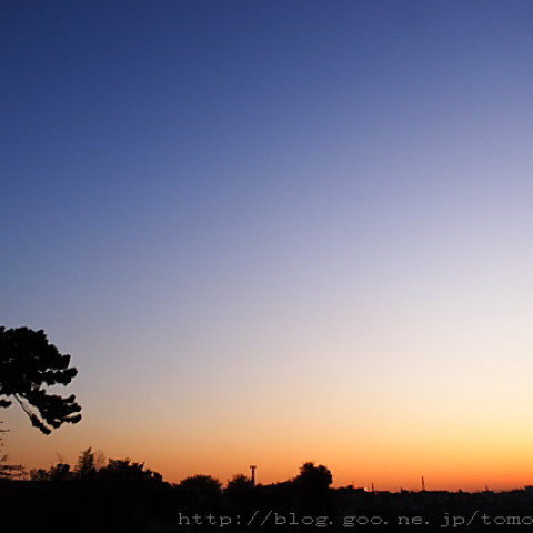 太陽と月の競演
