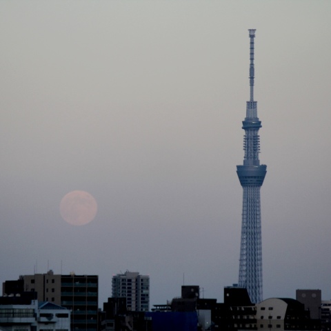 スカイツリーと中秋の満月