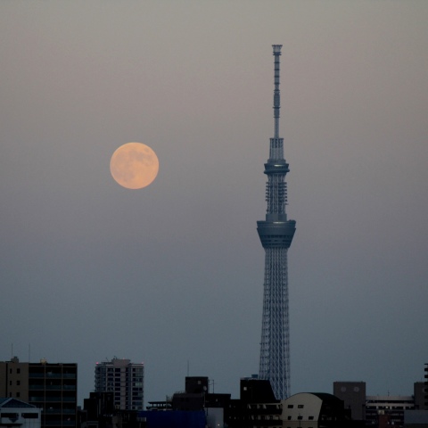 スカイツリーと中秋の満月２