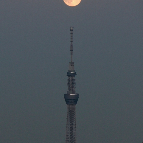スカイツリーと中秋の満月３
