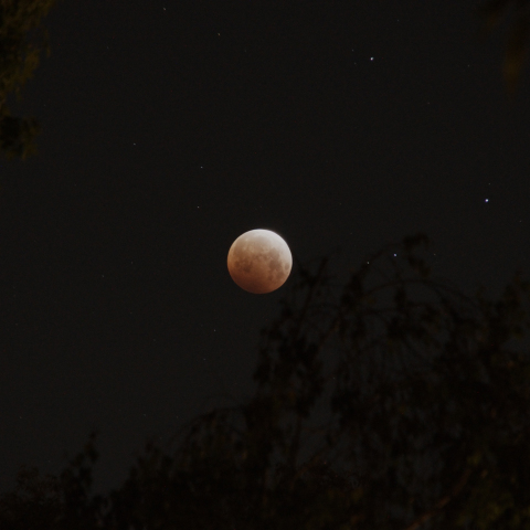 皆既月食(米国カリフォルニア州)