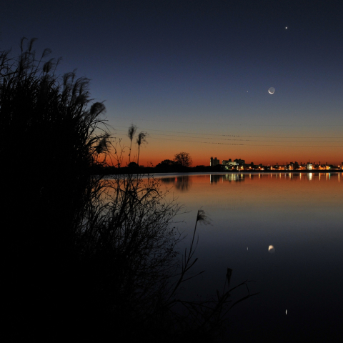 夜明けのグラデーションに細月、水星、金星