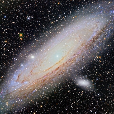 M31