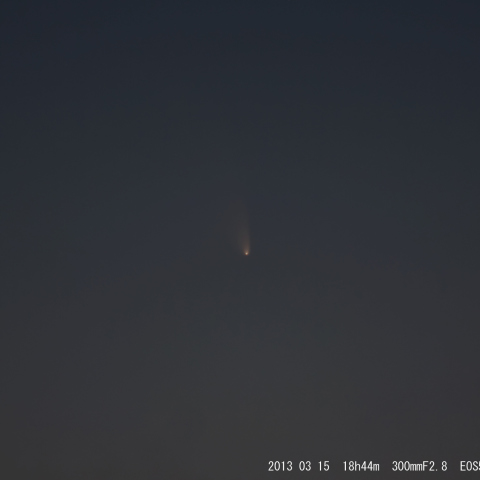 パンスターズ彗星