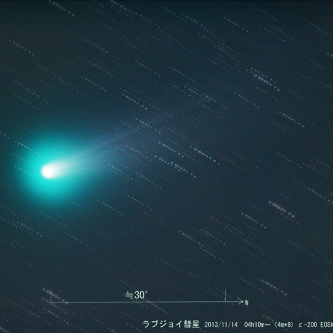 ラブジョイ彗星