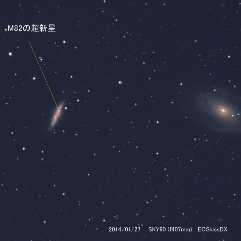 M82の超新星