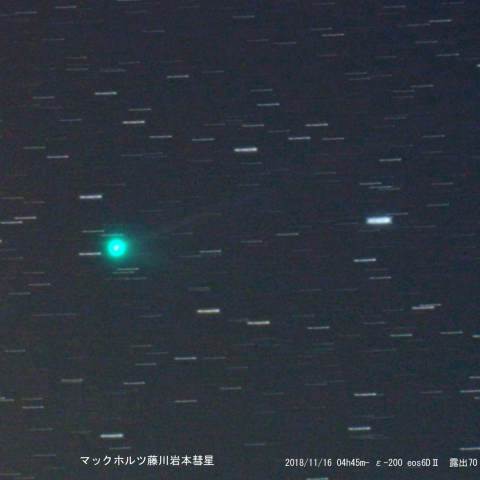 マックホルツ藤川岩本彗星