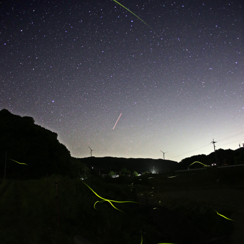 東の空に流星？