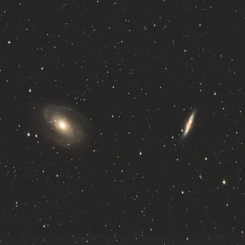 M81.82