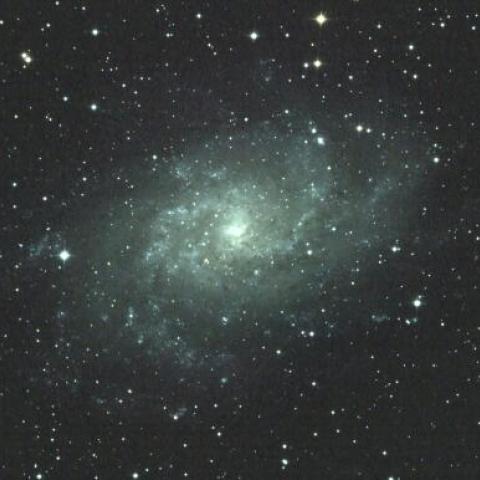 M33