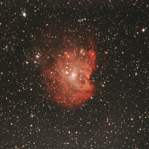 モンキーフェイス星雲