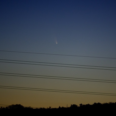 夕空のパンスターズ彗星