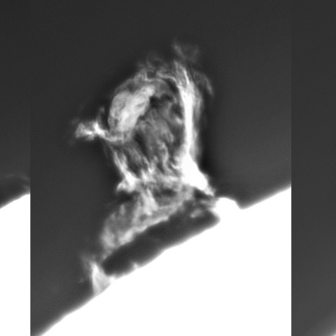 11月03日の太陽②（プロミネンス噴出）