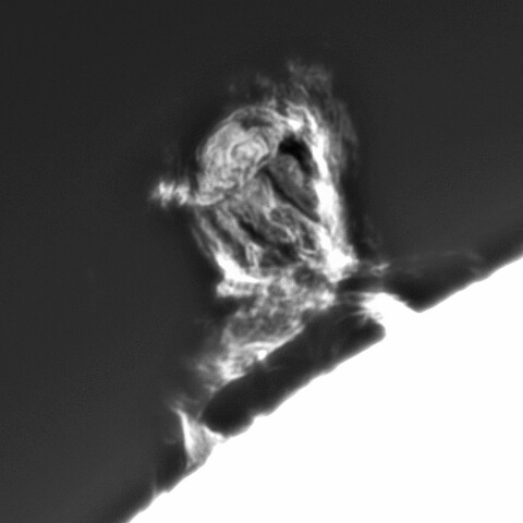 11月03日の太陽①（プロミネンス）