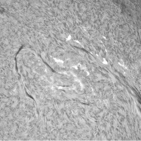 11月03日の太陽（3479，3473，3472）