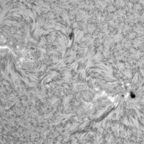 11月 8日の太陽②（3480，3477）