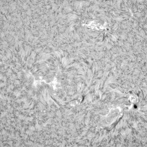 11月9日の太陽②（3480，3483，3477）
