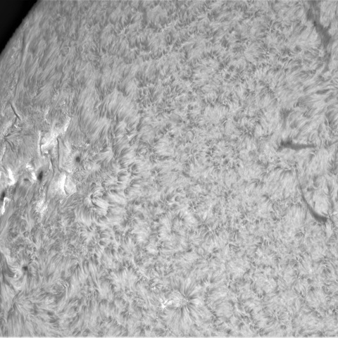 11月21日の太陽②（3491，3492，3490）