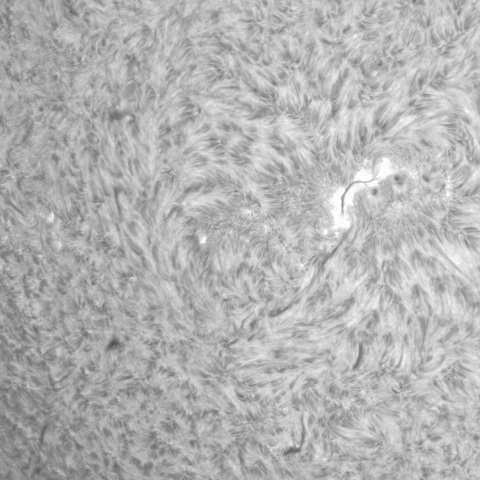 11月22日の太陽③（南東面）