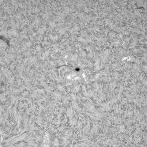 12月6日の太陽③（3507）