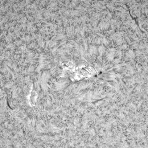 12月10日の太陽②（3514，3513）