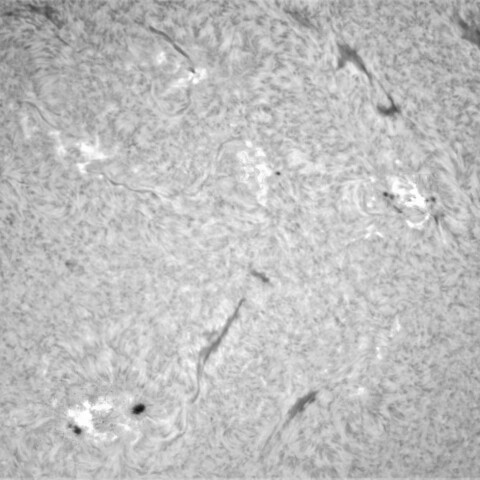 12月22日の太陽①（黒点帯）