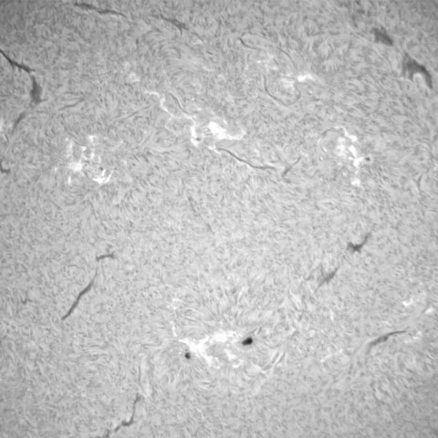 12月23日の太陽②（黒点帯）