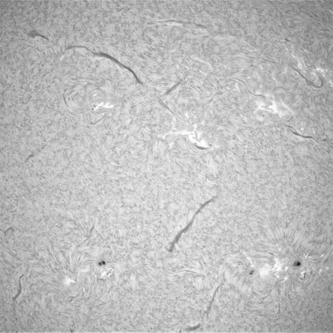 12月25日の太陽②（黒点帯）