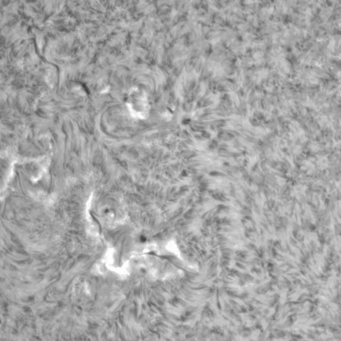 1月5日の太陽②（北東面黒点群）
