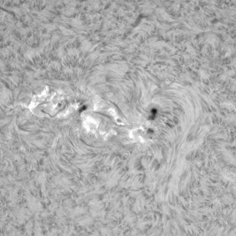 1月23日の太陽②（3559）　