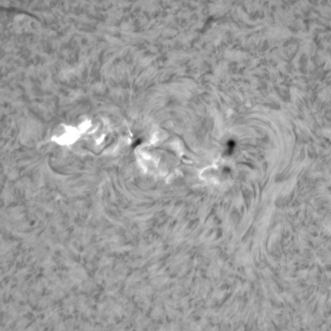 1月23日の太陽①（3559　M5.1フレア）　