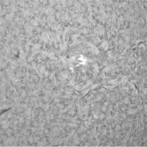 1月26日の太陽③（3560，3555，3561，3562）　