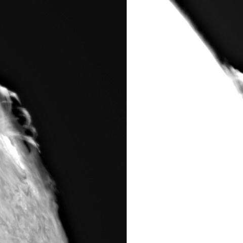 1月29日の太陽（ポストフレアループⅩⅤ）