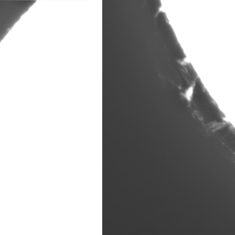 1月29日の太陽③（プロミネンス　東縁）