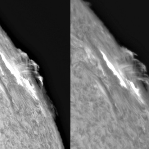 1月29日の太陽②（ポストフレアループⅩⅤ経時変化 3559）