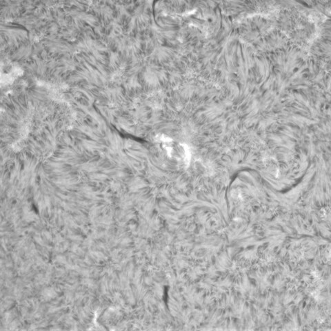 2月3日の太陽①（3570,3567,3565,3573）