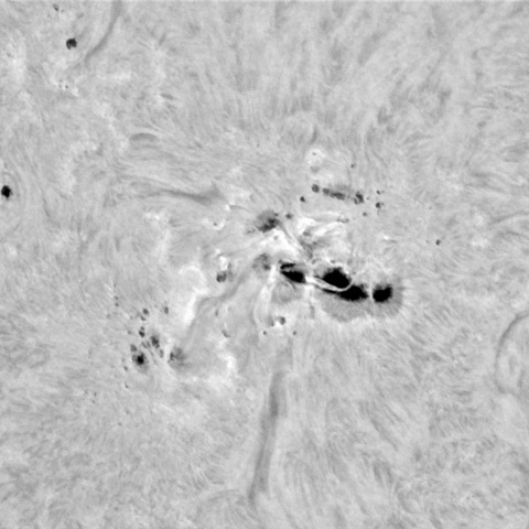 2月8日の太陽②（3578，3576）