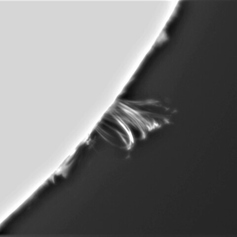 2月9日の太陽（ポストフレアループⅩⅥ）