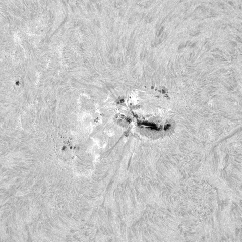 2月9日の太陽④（3576）