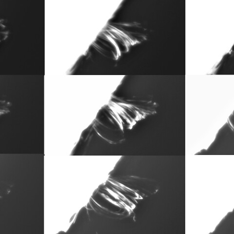 2月9日の太陽①（ポストフレアループⅩⅥ　3575 経時変化）