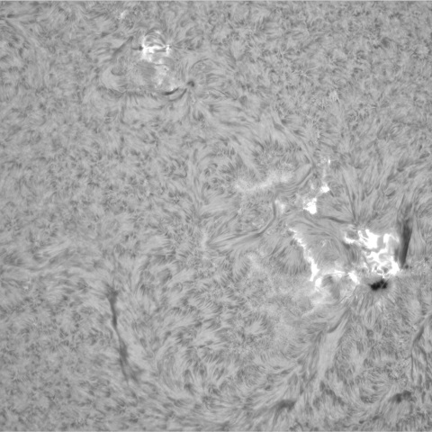 2月11日の太陽①（正面中央部 3576M6.5フレア）