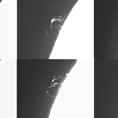 2月13日の太陽①（ポストフレアループ ⅩⅧ）