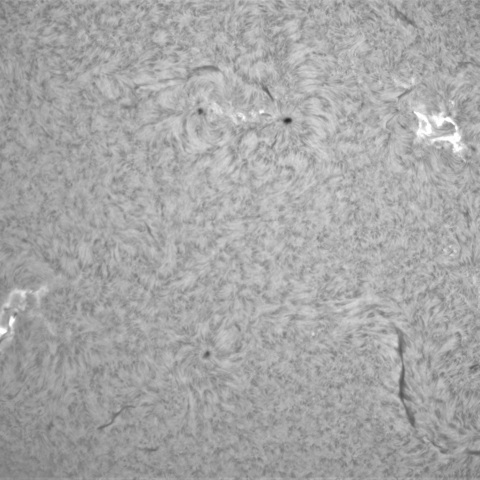 2月14日の太陽①（黒点帯）