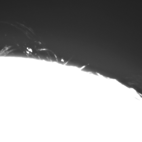 2月17日の太陽➂（プロミネンス西縁）