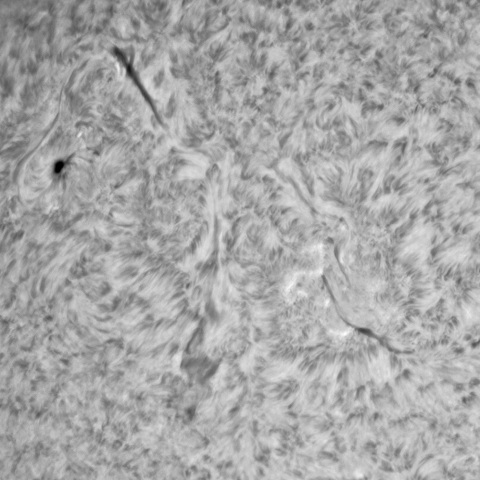 2月17日の太陽⓵（3586）